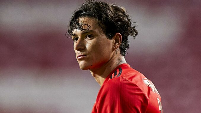 Darwin Nunez - Benfica and Uruguay forward