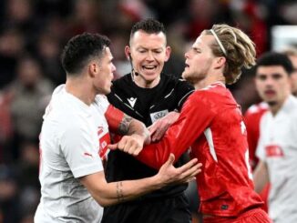 Hjulmand Denmark midfielder