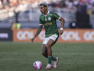 Richard Rois Palmeiras