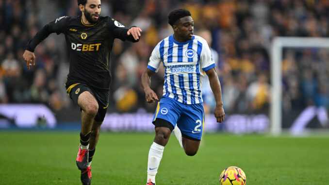 Brighton & Hove Albion FC v Wolverhampton Wanderers FC - Premier League